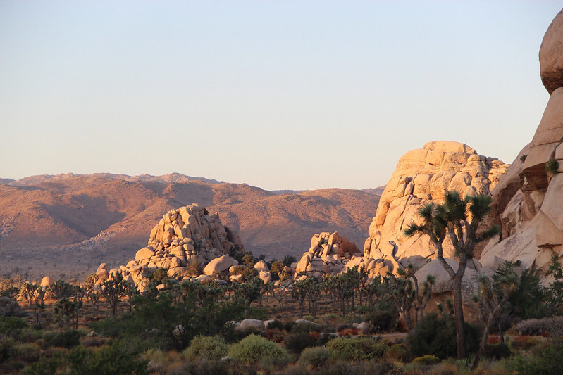 Hidden Valley sunrise